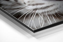 Brushed Aluminium Dibond Wall Art