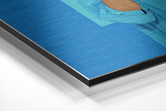 Brushed Aluminium Dibond Wall Art